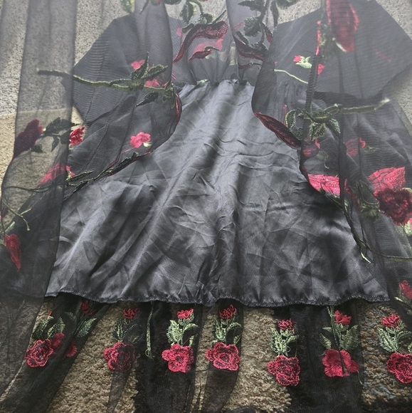 Roiii Off Shoulder Sheer Dress Womens Black & Roses 1950s Whimsgoth New - Picture 8 of 16